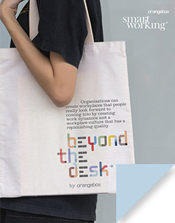 Beyond the Desk Brochure